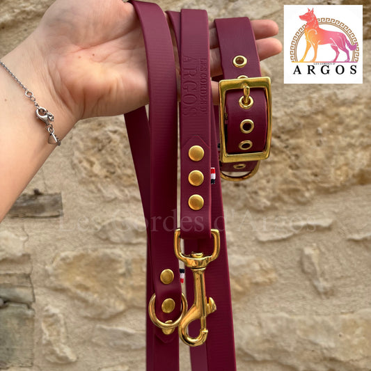 ENSEMBLE : COLLIER MAYVE & LAISSE BIOTHANE®