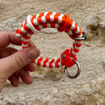 Collier PUPPY (chiot)