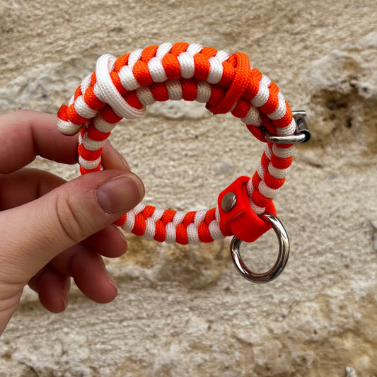 Collier PUPPY (chiot)